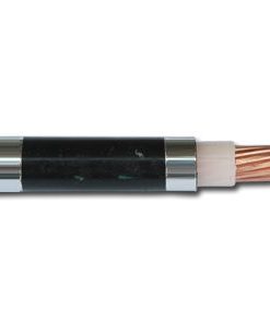 Cxv 1x