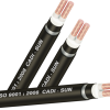 Dsta 2x. 510x600