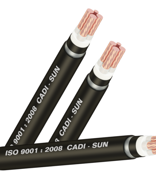 Dsta 3x 1x 1 510x600 Dsta 3x 1x 1 510x600