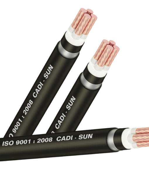 Dsta 4x 1 510x600 Dsta 4x 1 510x600
